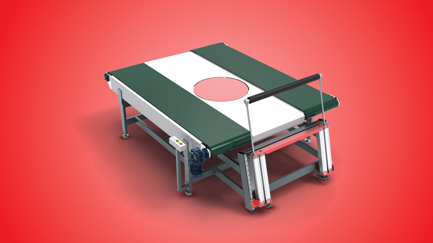 Quality-Control-Conveyor-with-Flipper-